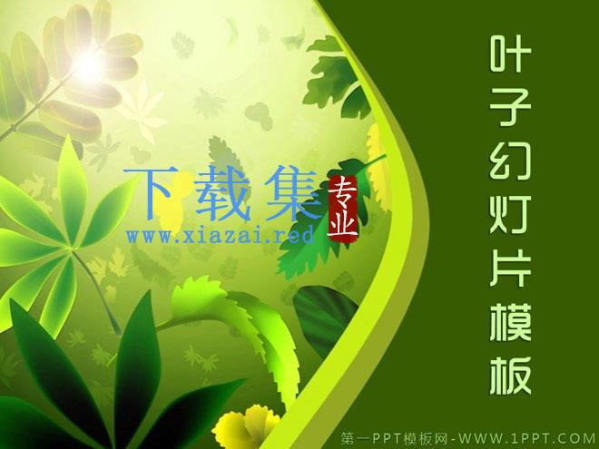 优雅绿色植物叶子背景的艺术设计PPT模板下载