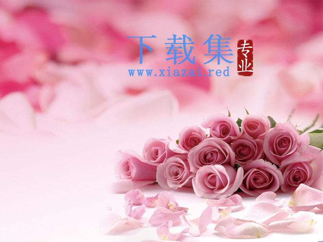 粉色浪漫玫瑰花PPT背景图片