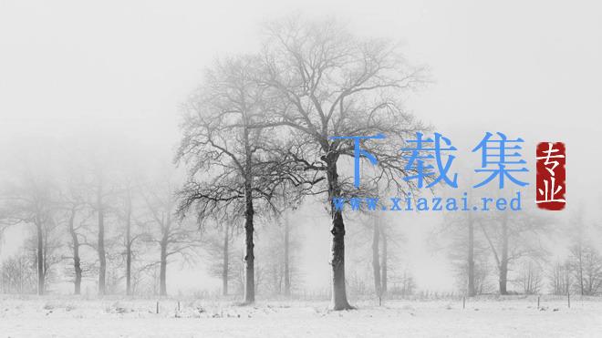 冬天的树木PPT背景图片