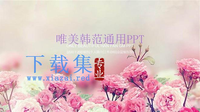 粉色蔷薇花背景的韩国PPT模板