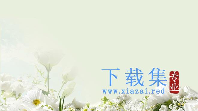 淡雅绿色背景白色花卉PPT背景图片