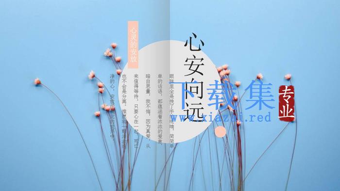 红色小花点缀的图片排版杂志风格PPT模板