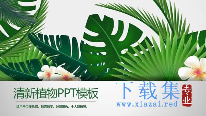 绿色宽叶植物背景PPT模板免费下载