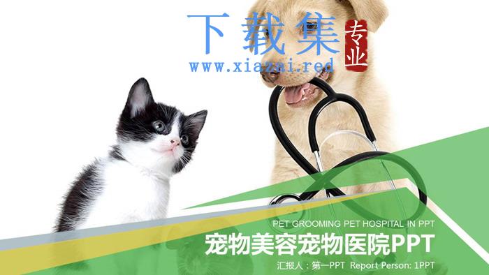 小狗小猫背景的宠物PPT模板