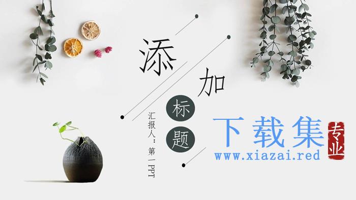 清新绿叶植物排版毕业答辩PPT模板