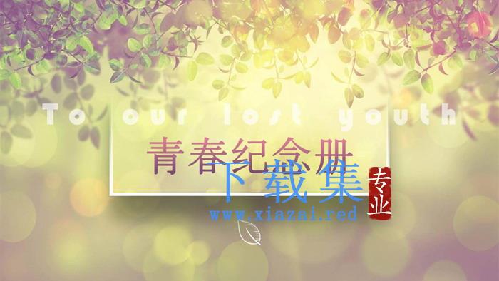 光影斑驳的《青春纪念册》PPT模板