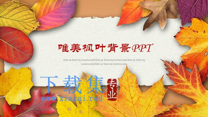 金灿灿的落叶背景PPT模板