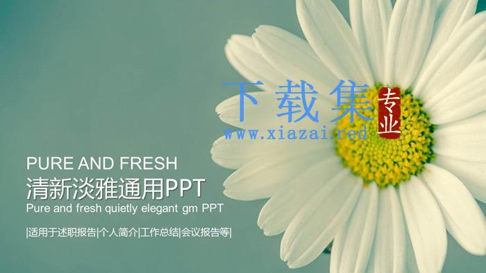 淡雅清新小花背景PPT模板