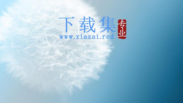 唯美蒲公英PPT背景图片