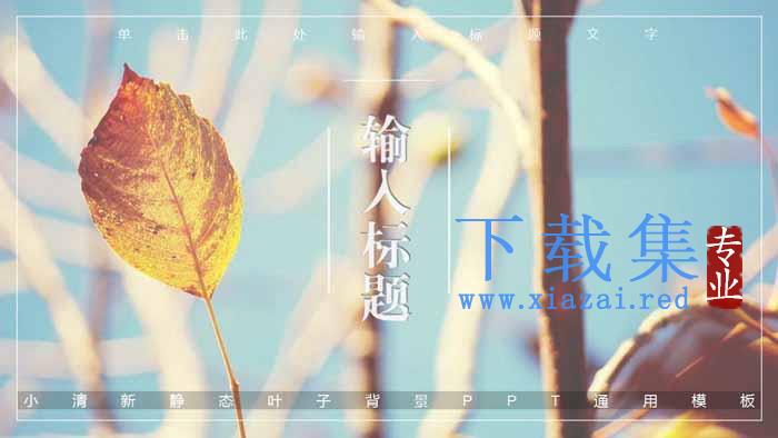 小清新植物背景的图片排版设计PPT模板