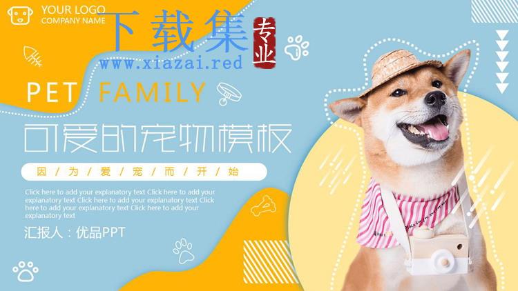宠物狗狗背景的杂志风宠物店介绍PPT模板