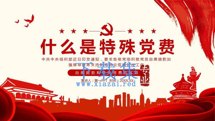 什么是特殊党费PPT