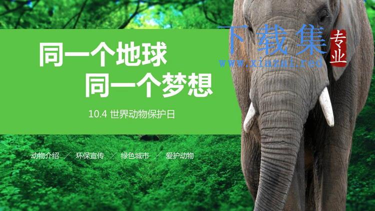 森林大象背景的世界动物日主题班会PPT模板