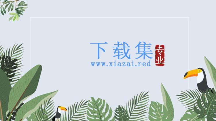 四张卡通大嘴鸟阔叶植物叶子PPT背景图片