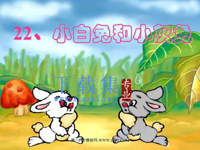 《小白兔和小灰兔》PPT课件2