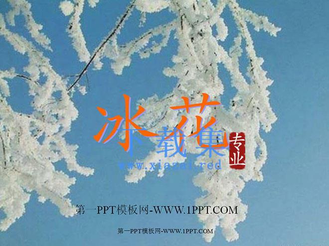 冰花PPT教学课件下载2