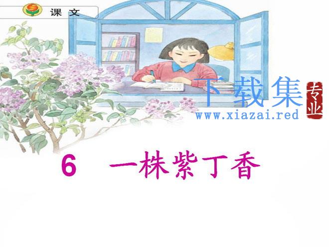 《一株紫丁香》PPT教学课件下载2