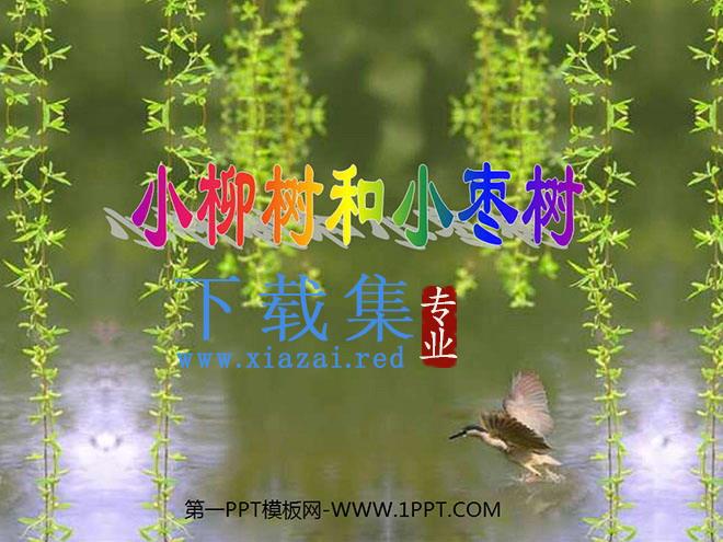 《小柳树和小枣树》PPT教学课件下载