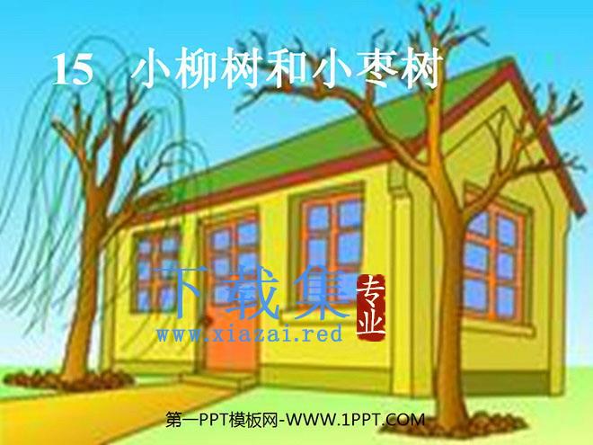 《小柳树和小枣树》PPT教学课件下载3