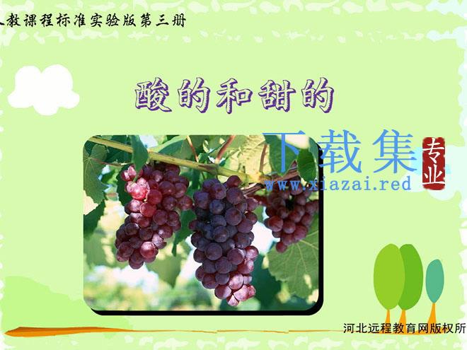 《酸的和甜的》Flash动画课件下载