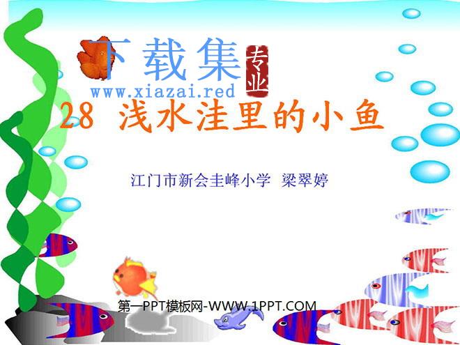 《浅水洼里的小鱼》PPT教学课件下载2
