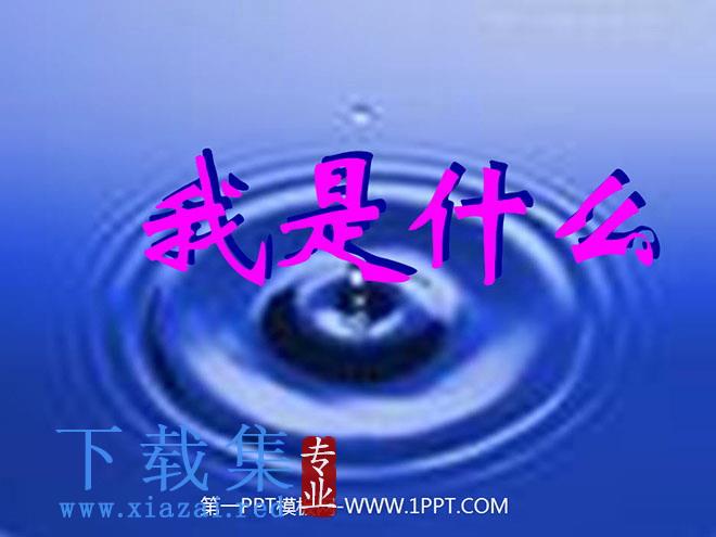 《我是什么》PPT教学课件下载2