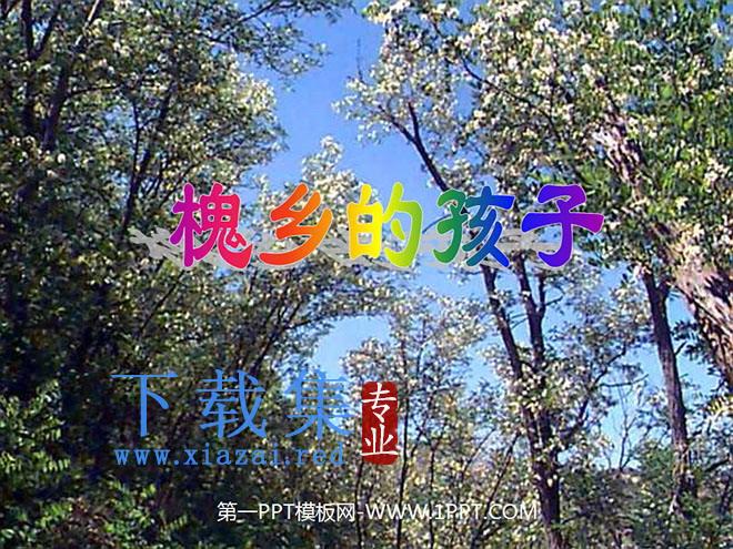 《槐乡的孩子》PPT教学课件下载2