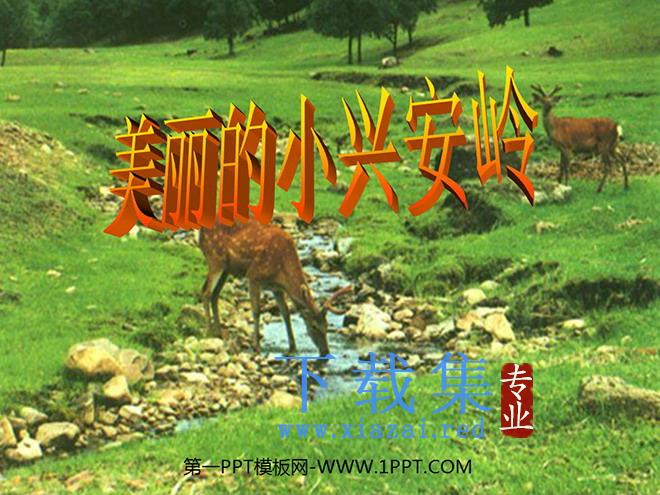 《美丽的小兴安岭》PPT教学课件下载2