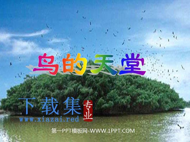 《鸟的天堂》PPT教学课件下载