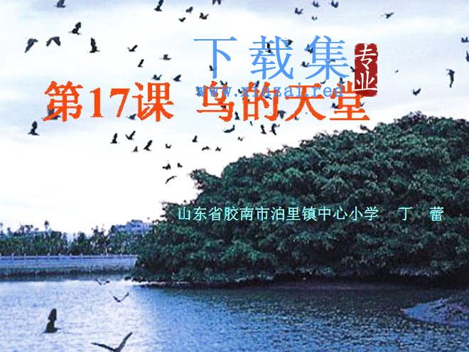 《鸟的天堂》Flash动画课件下载