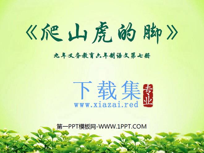 《爬山虎的脚》PPT教学课件下载