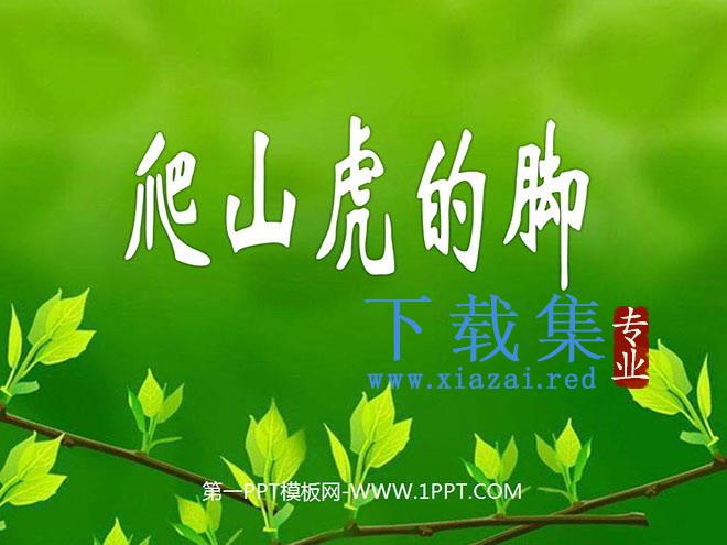《爬山虎的脚》PPT教学课件下载2