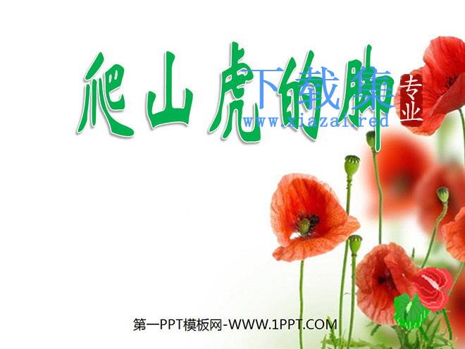 《爬山虎的脚》PPT教学课件下载3