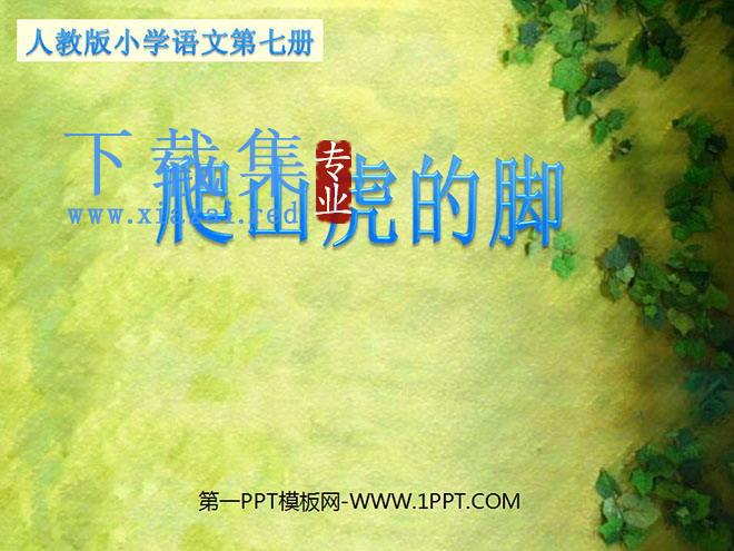 《爬山虎的脚》PPT教学课件下载4