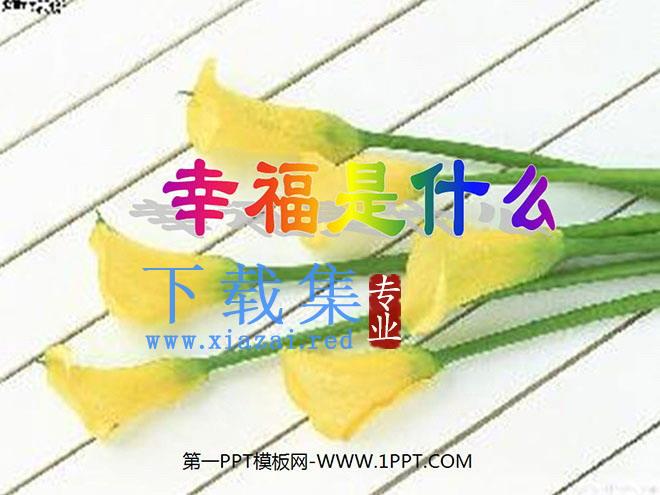 《幸福是什么》PPT教学课件下载3