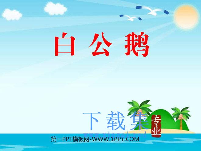 《白公鹅》PPT课件下载