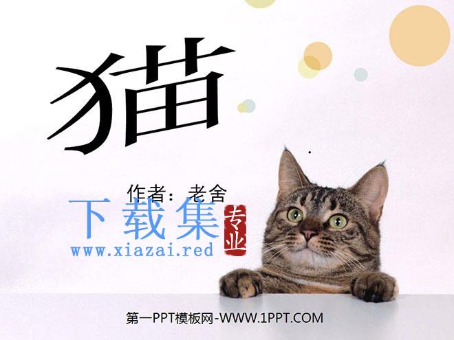 《猫》PPT课件下载
