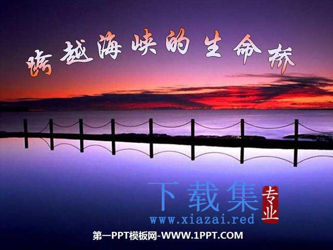 《跨越海峡的生命桥》PPT课件下载4