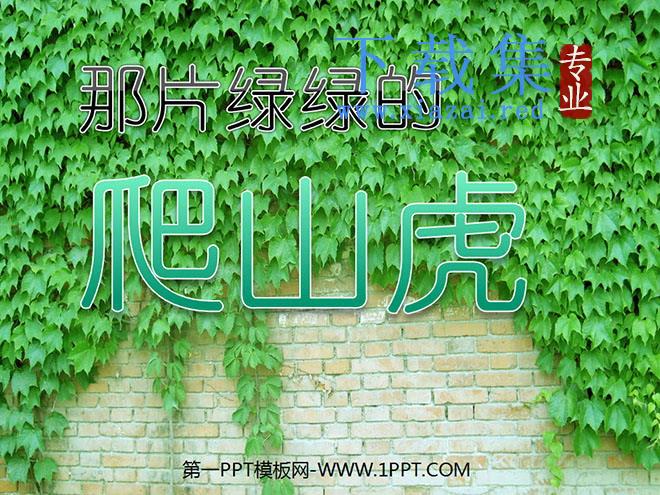 《那片绿绿的爬山虎》PPT课件下载3