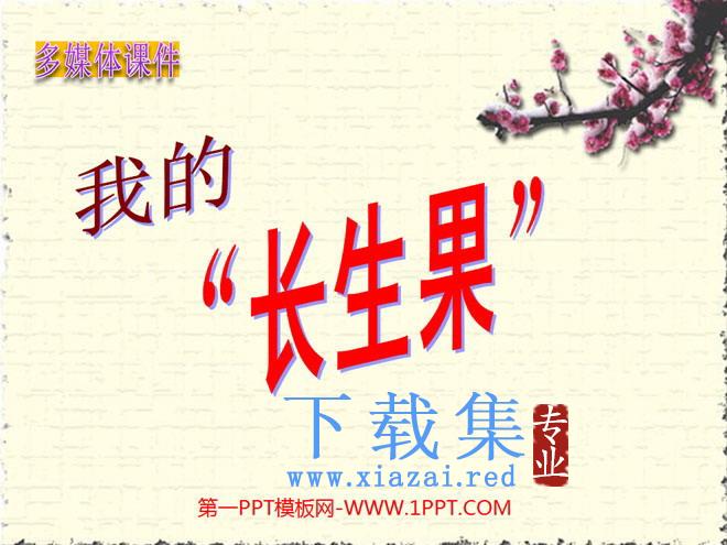 《我的“长生果”》PPT课件下载4