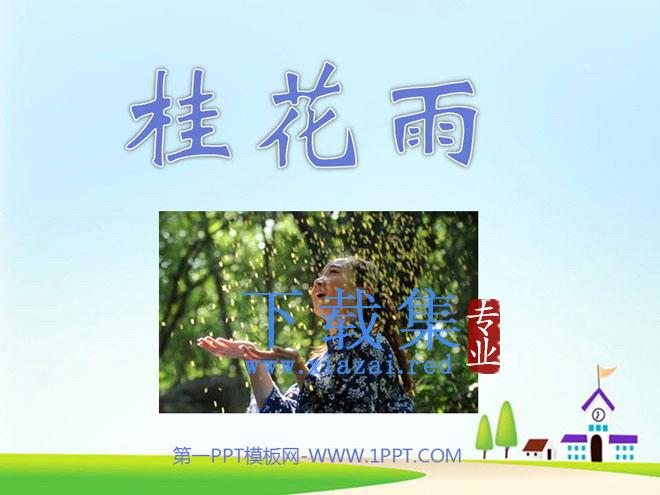 《桂花雨》PPT课件下载2