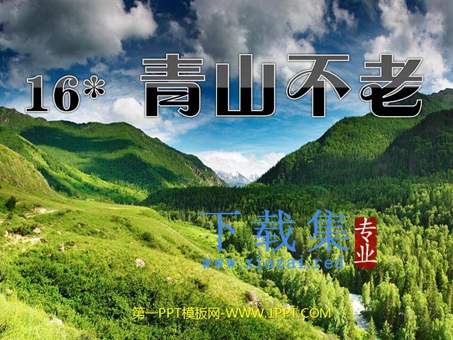 《青山不老》PPT课件下载