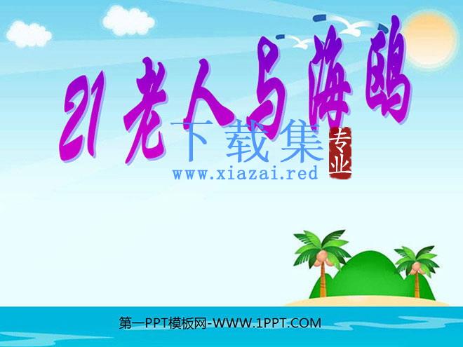 《老人与海鸥》PPT课件下载