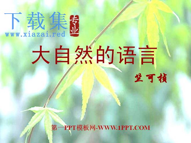 《大自然的语言》PPT课件2