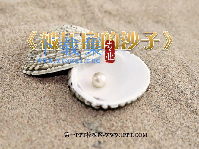 《阿西莫夫短文两篇-被压扁的沙子》PPT课件