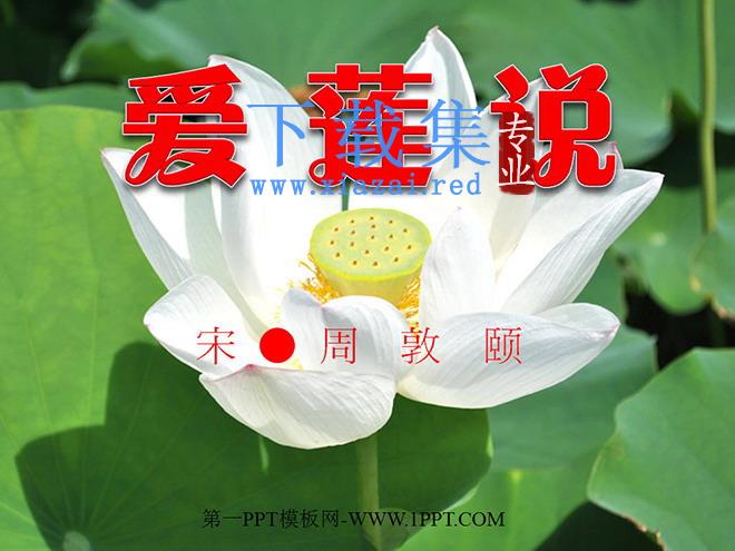《爱莲说》PPT课件2
