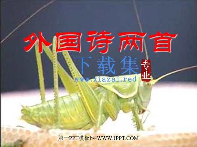 外国诗两首《蝈蝈与蛐蛐、夜》PPT课件4