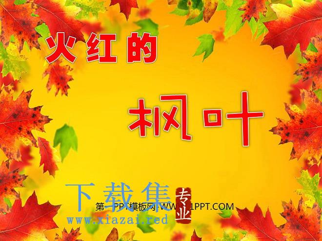 《火红的枫叶》PPT课件