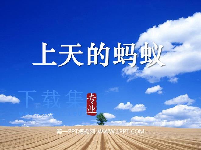 《上天的蚂蚁》PPT课件