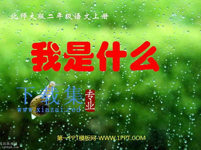 《我是什么》PPT课件2